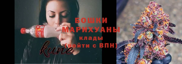 прущие грибы Белоозёрский