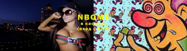прущие грибы Белоозёрский