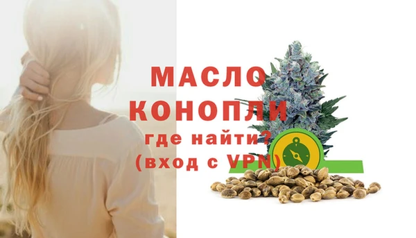 индика Беломорск
