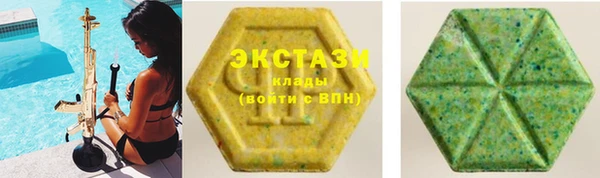 индика Беломорск