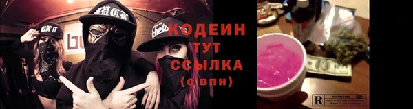 индика Беломорск