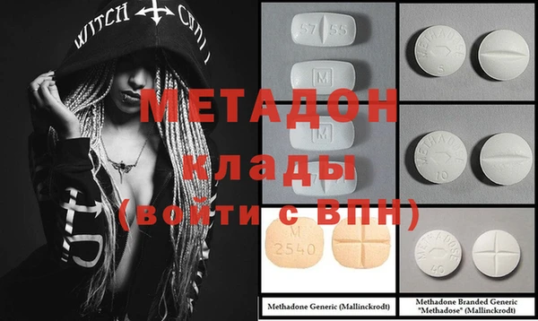 прущие грибы Белоозёрский