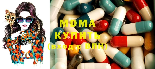 индика Беломорск