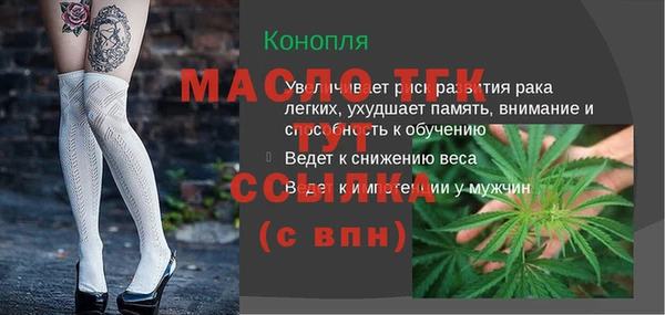 индика Беломорск