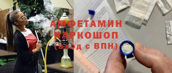 индика Беломорск